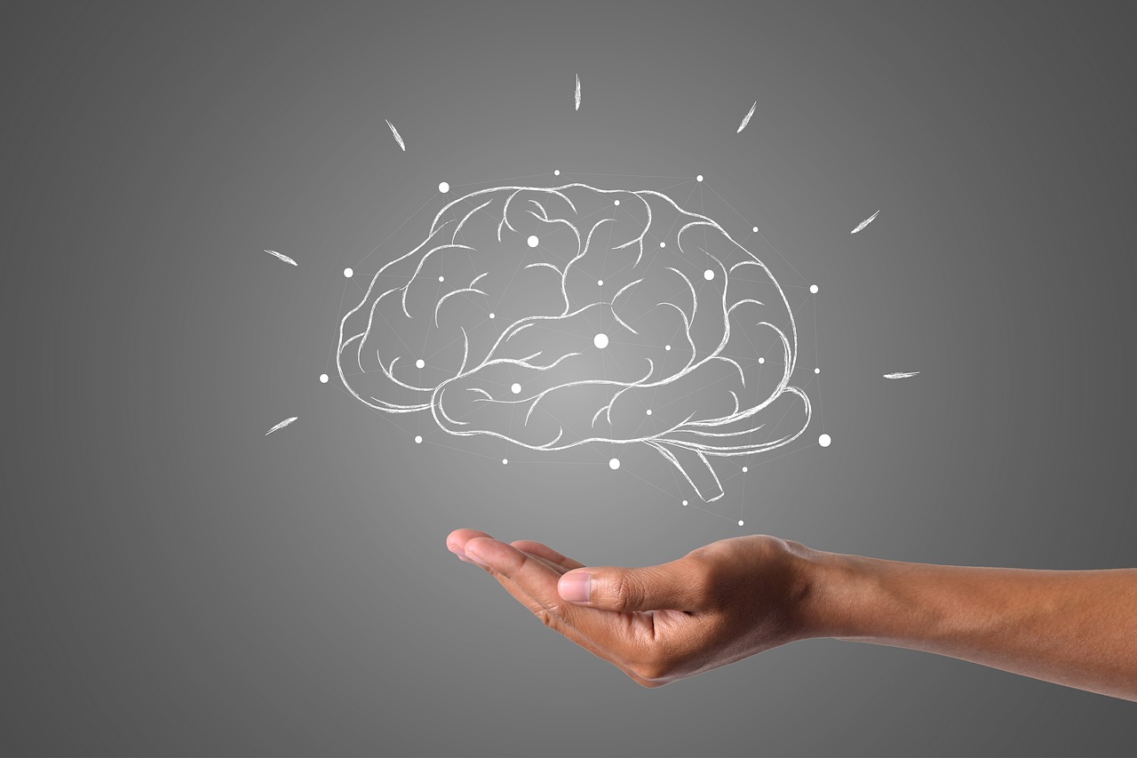How do we think? All about the brain
