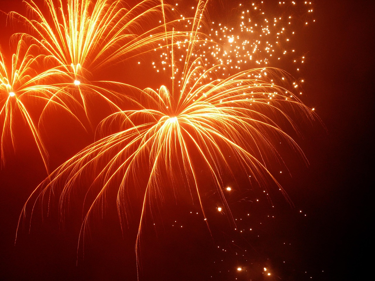 Happy New Year