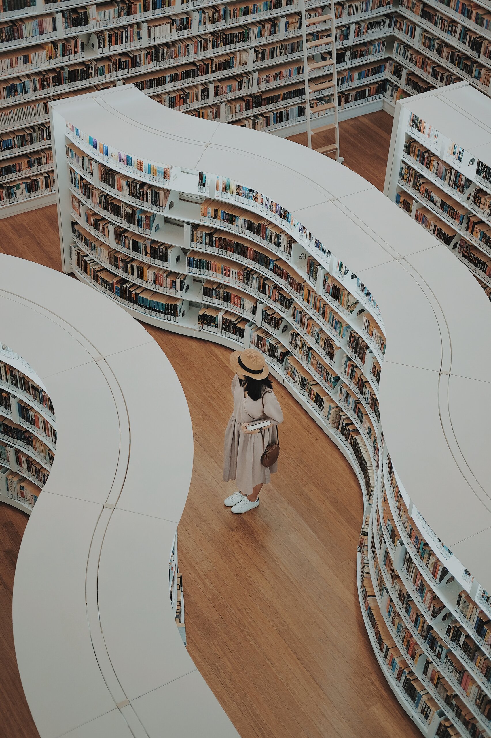 DP inquiry and information literacy