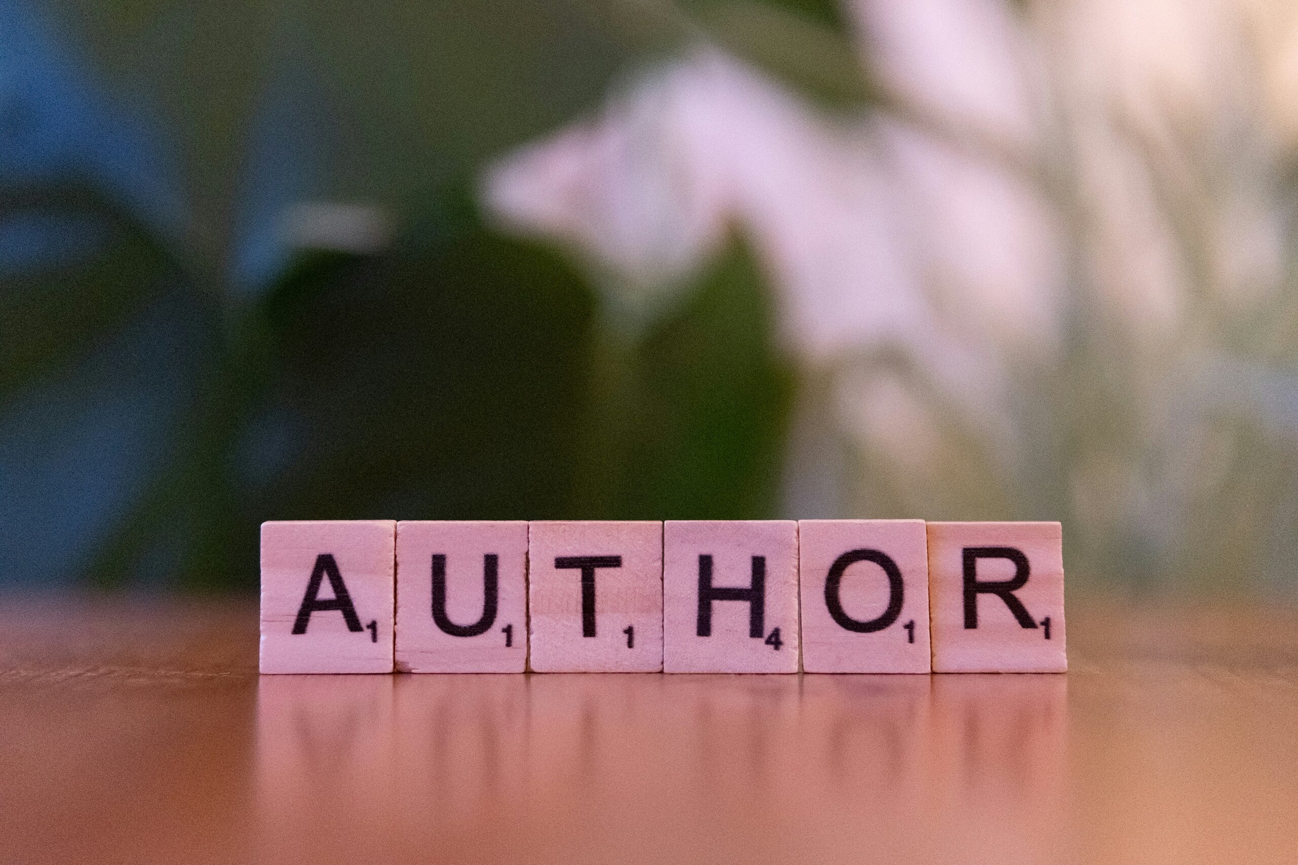 Critical thinking: evaluating authority and bias in sources