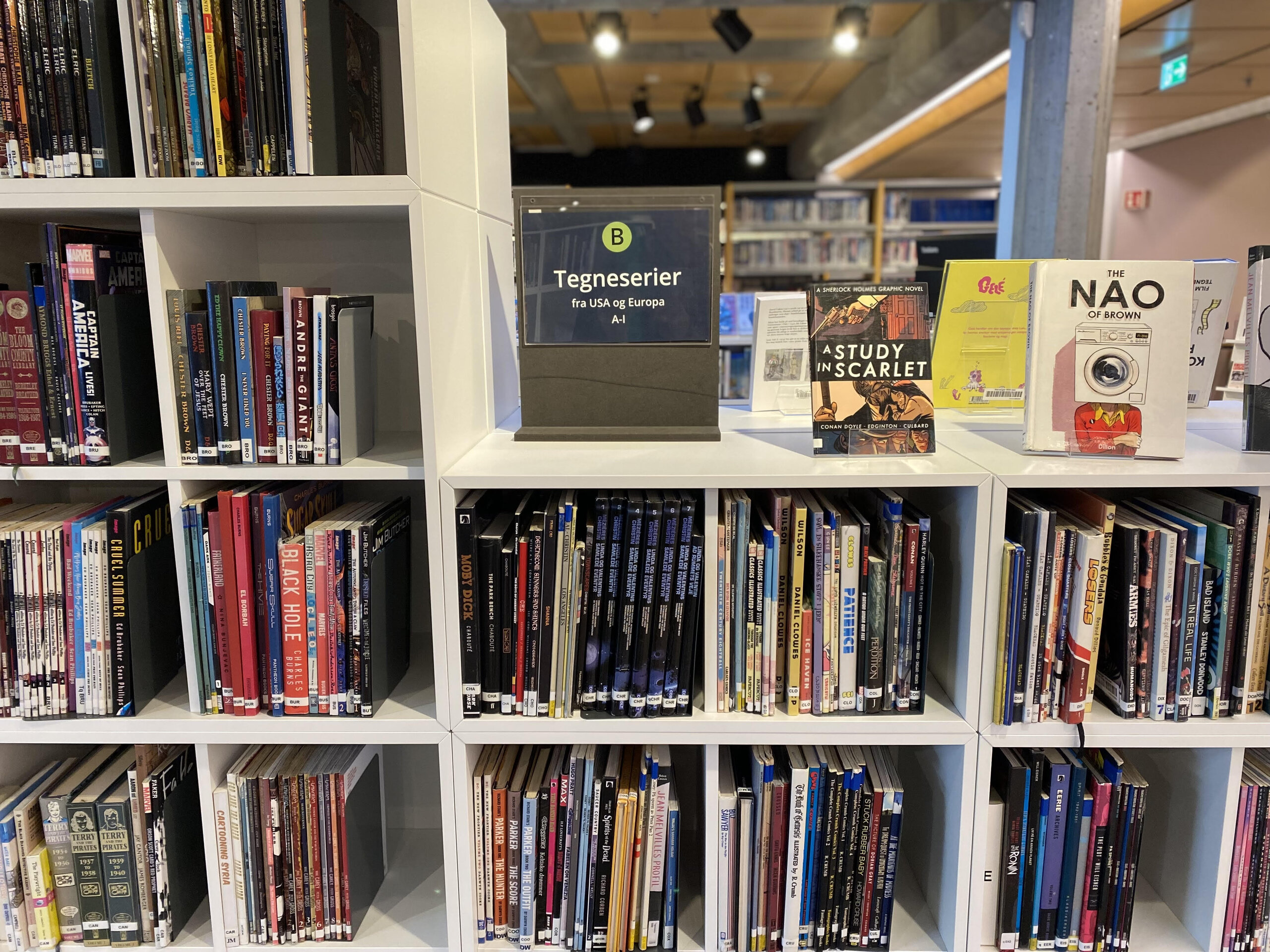IB documentation about the DP library/ian