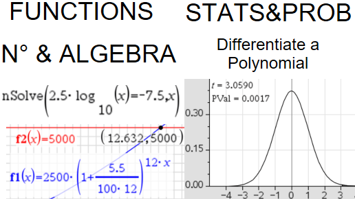 SL End of Year 1 TEST