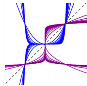 Introducing Functions