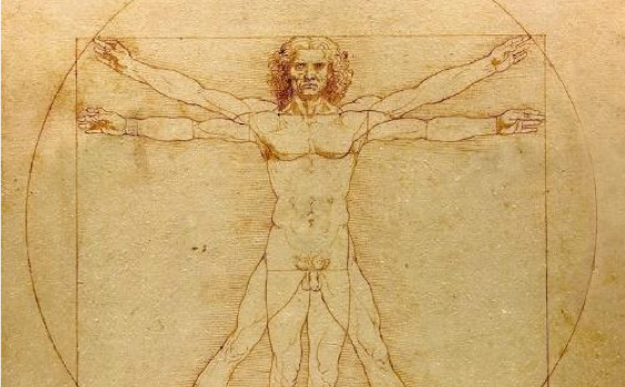 Human proportions