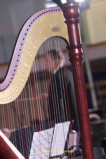 The Case for the Performing Ensemble 