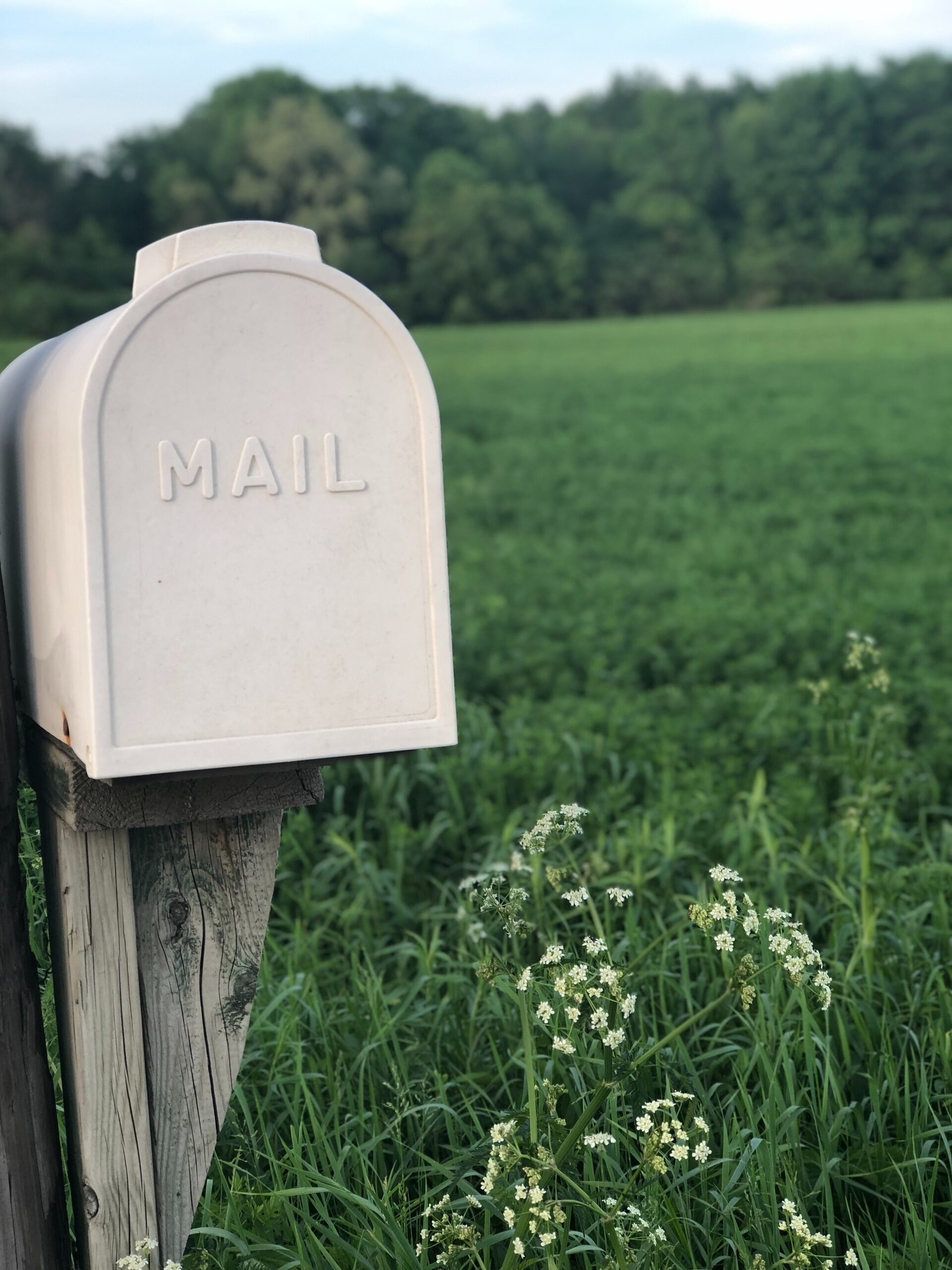 Checklists for Submissions