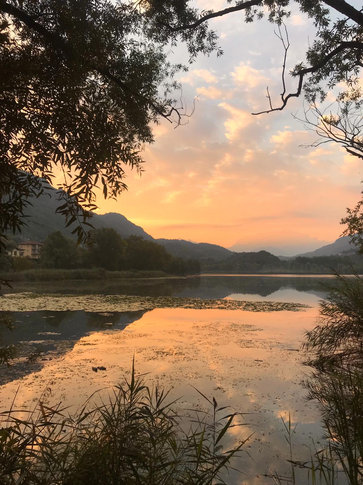 Nature Poetry