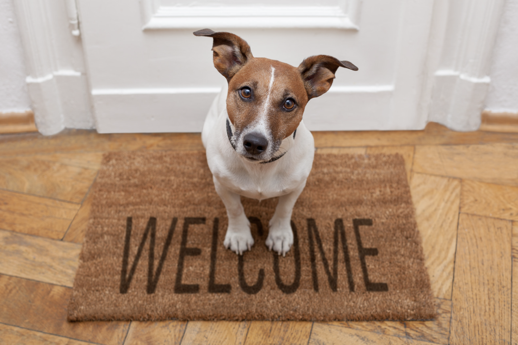 Introduction to MYP English Language and Literature