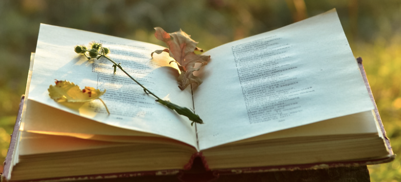Poetic Devices: Anaphora, Repetition, Onomatopoeia Resource