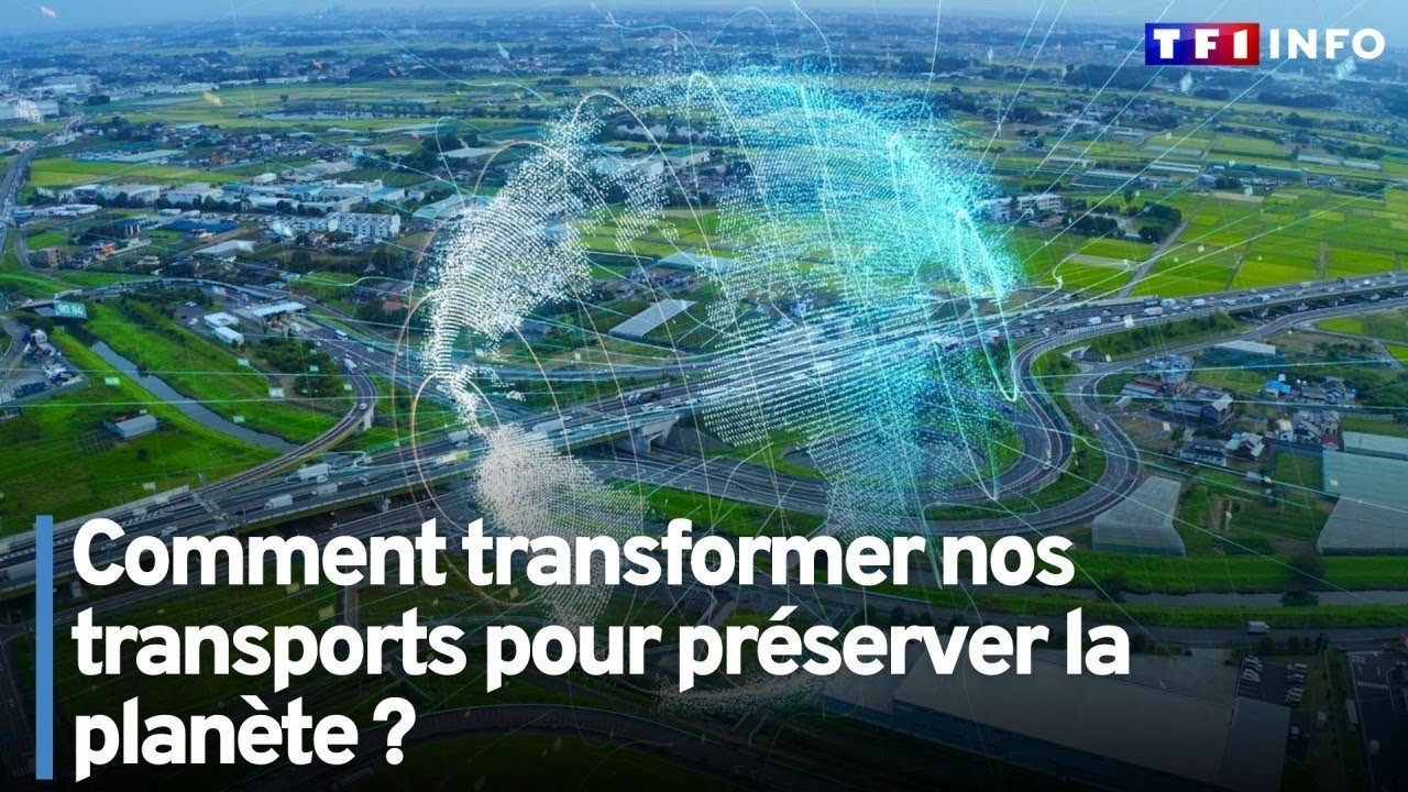 La syntaxe - les pronoms relatifs simples (systèmes, environnement)