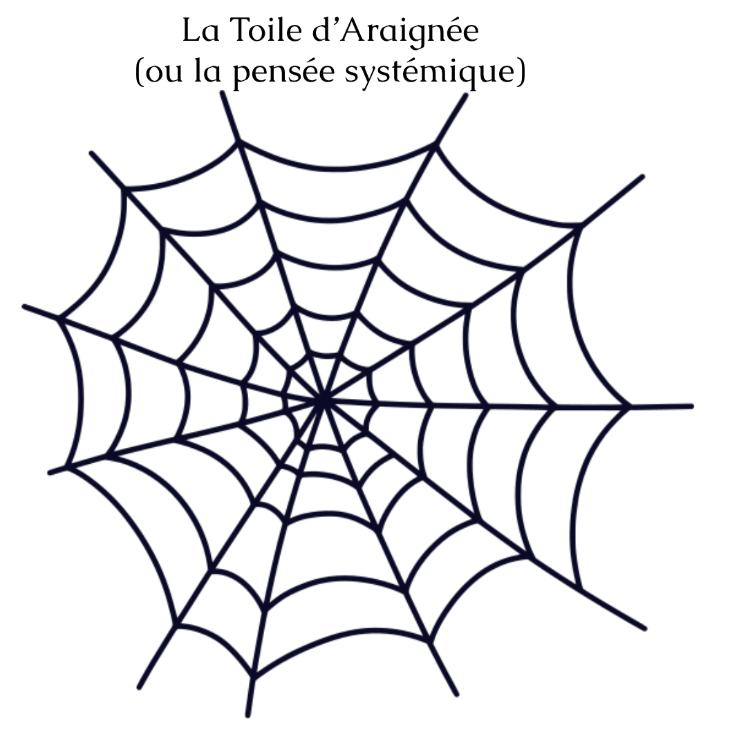 La Toile d'Araignée (pensée systémique)