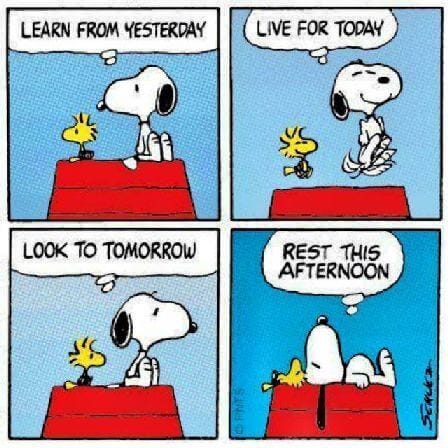 Action Plans