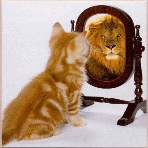 Grab-bag: have you reflected?