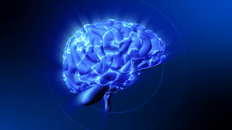 Brain gif by anon retrieved from https://scitechdaily.com/our-brains-information-processing-capacity-is-constrained-by-a-constant-but-limited-energy-supply/ Brain gif by anon retrieved from https://scitechdaily.com/our-brains-information-processing-capacity-is-constrained-by-a-constant-but-limited-energy-supply/