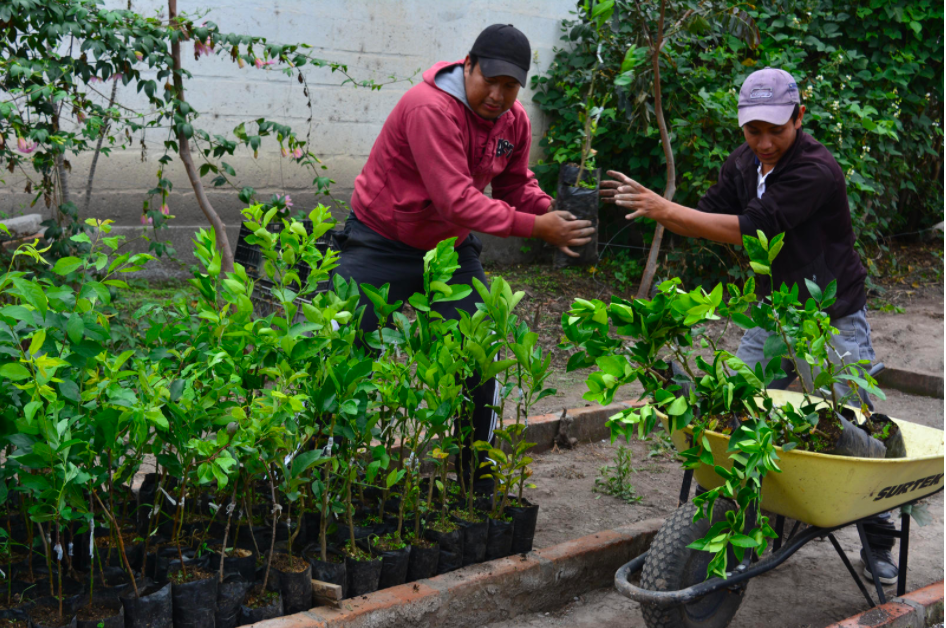 La alimentación sostenible 