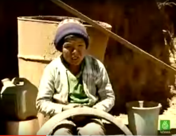 Los niños trabajadores