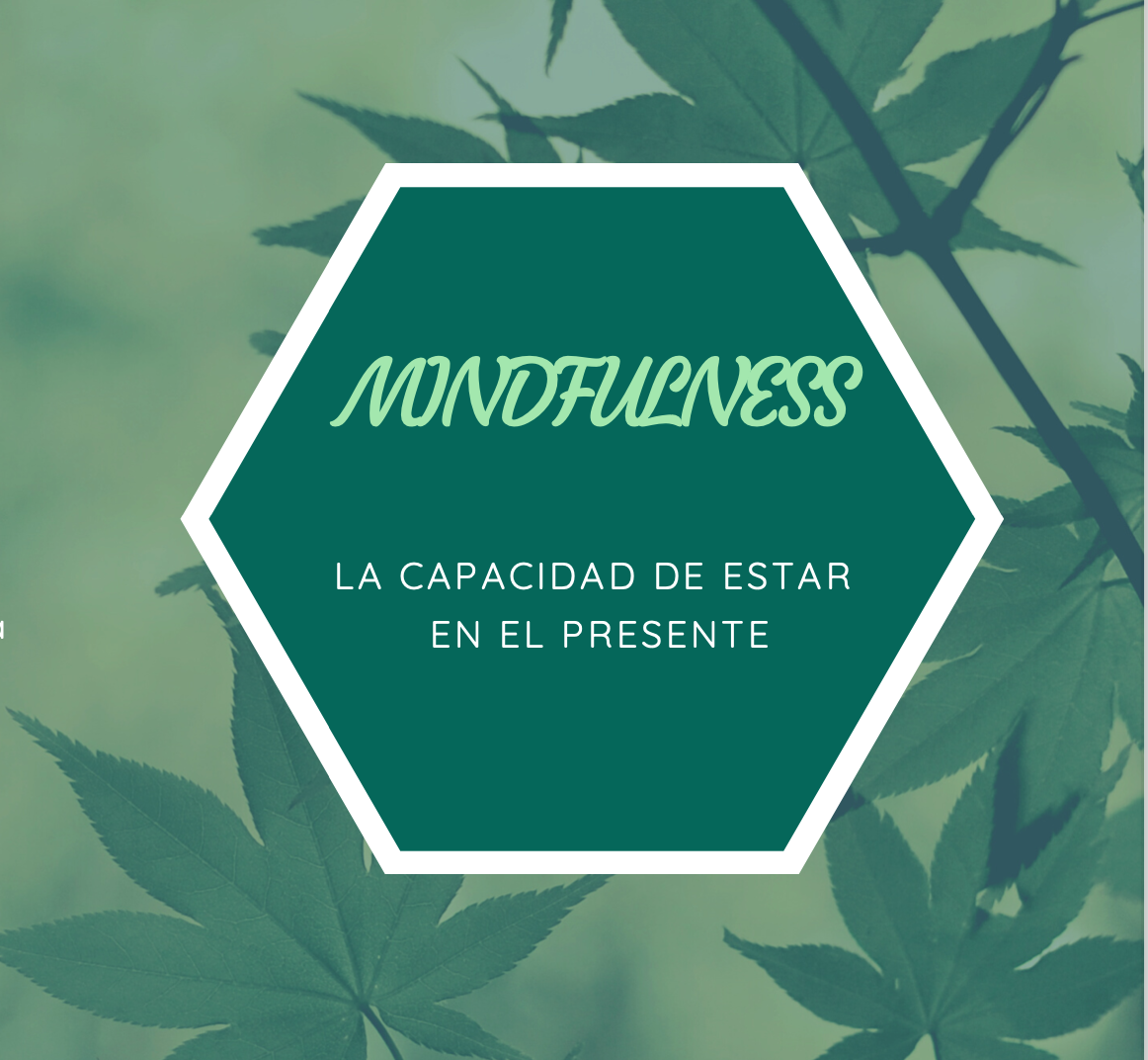 Atención plena 