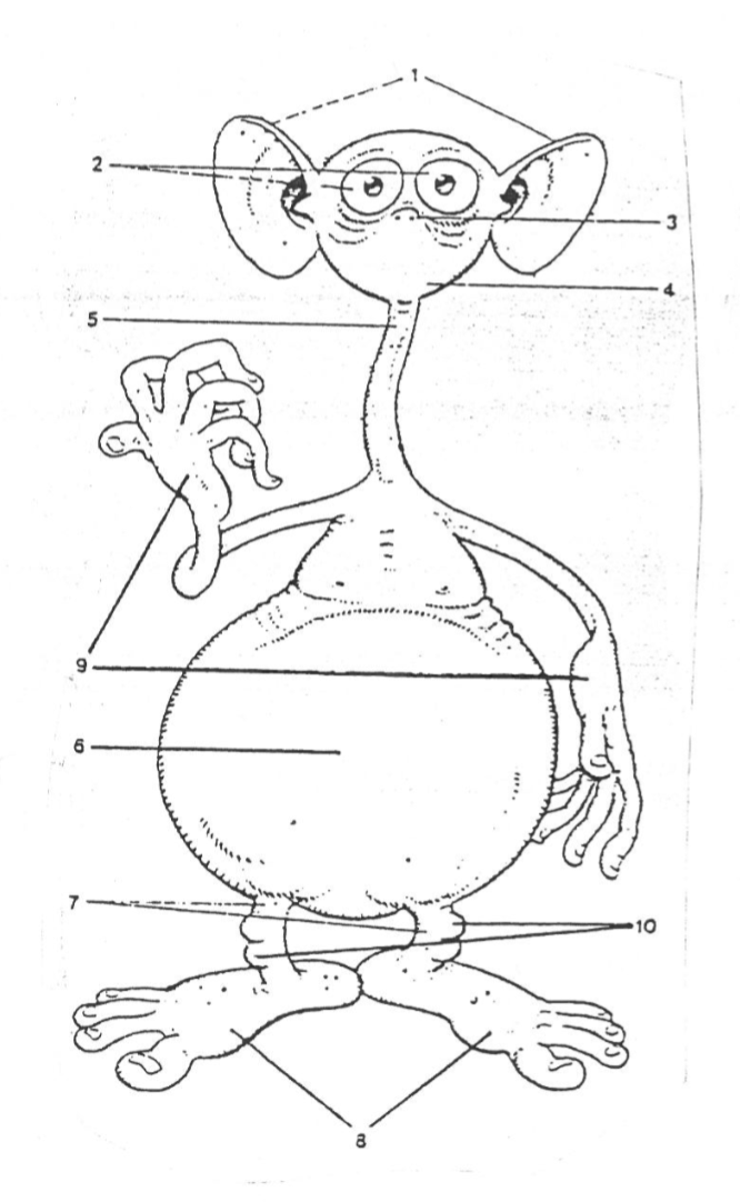 Las partes del cuerpo (Monstruos)