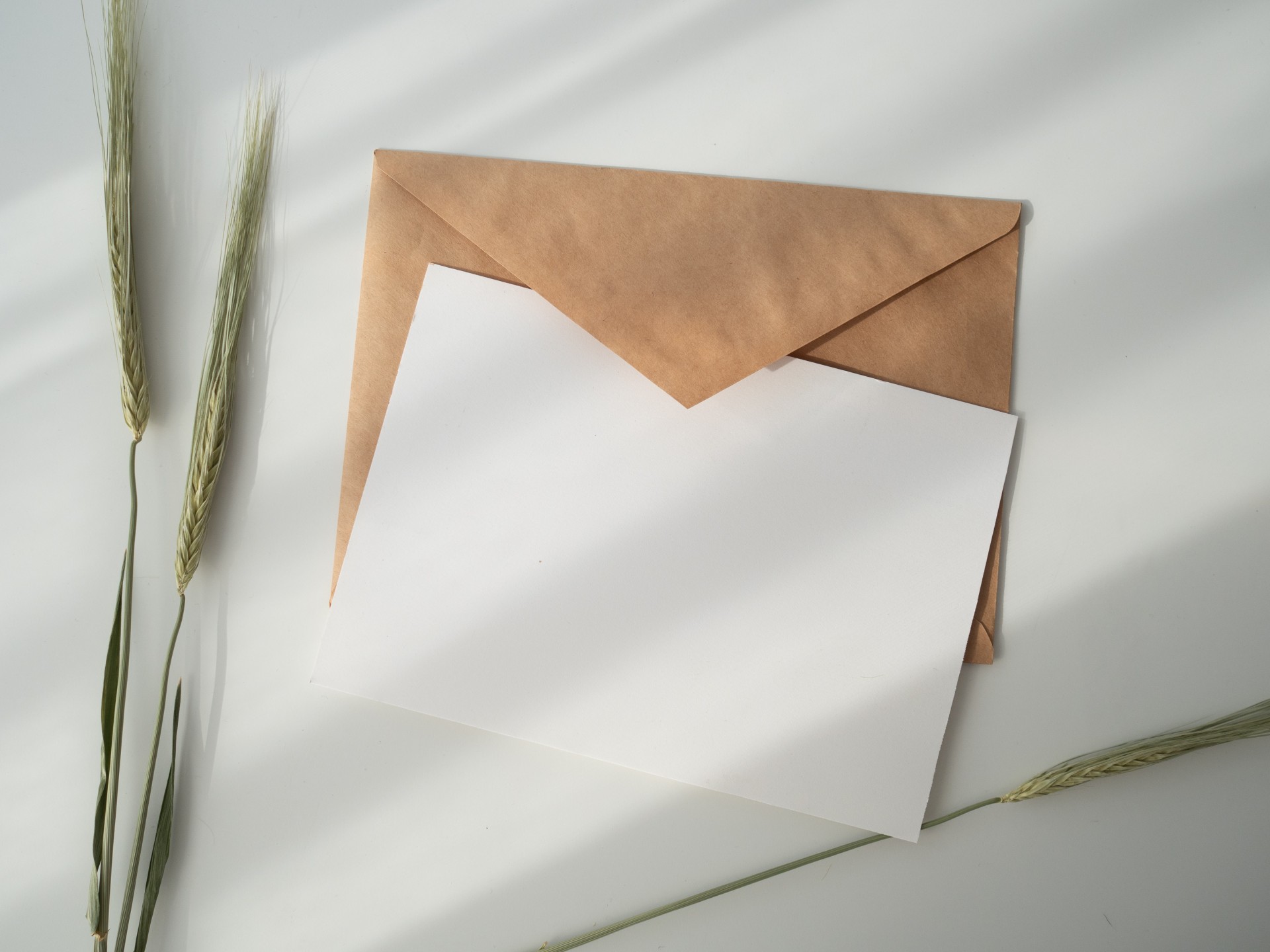 Carta y correo electrónico formal