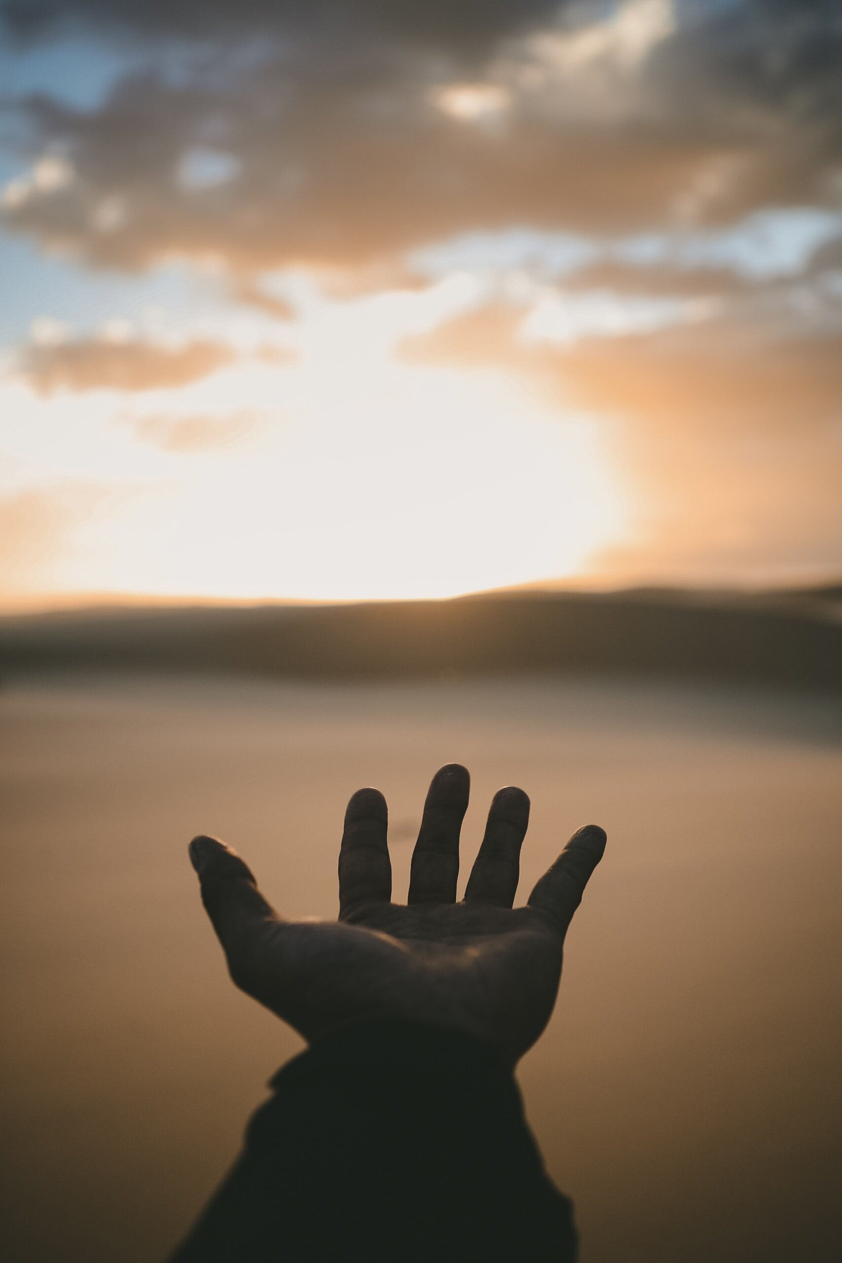 Valores humanos
