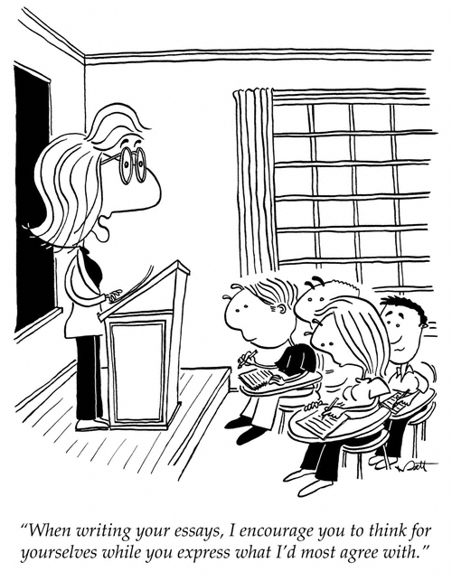 Getting started with an ESS extended essay