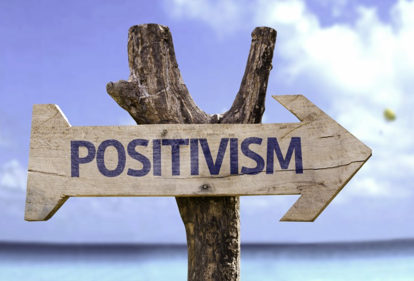 Perspectives in psychology