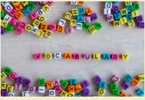 El vocabulario