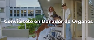Donación de órganos