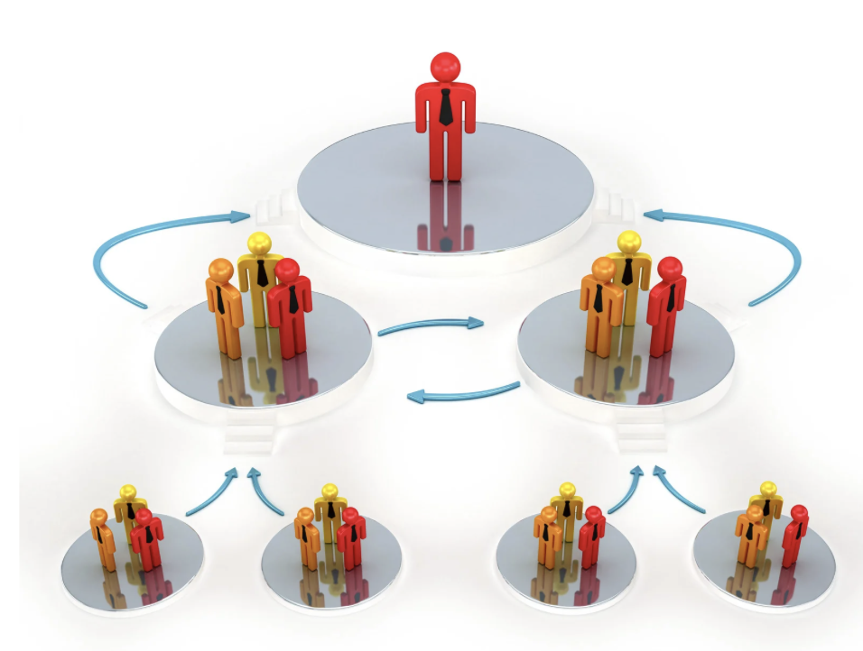 Organización social
