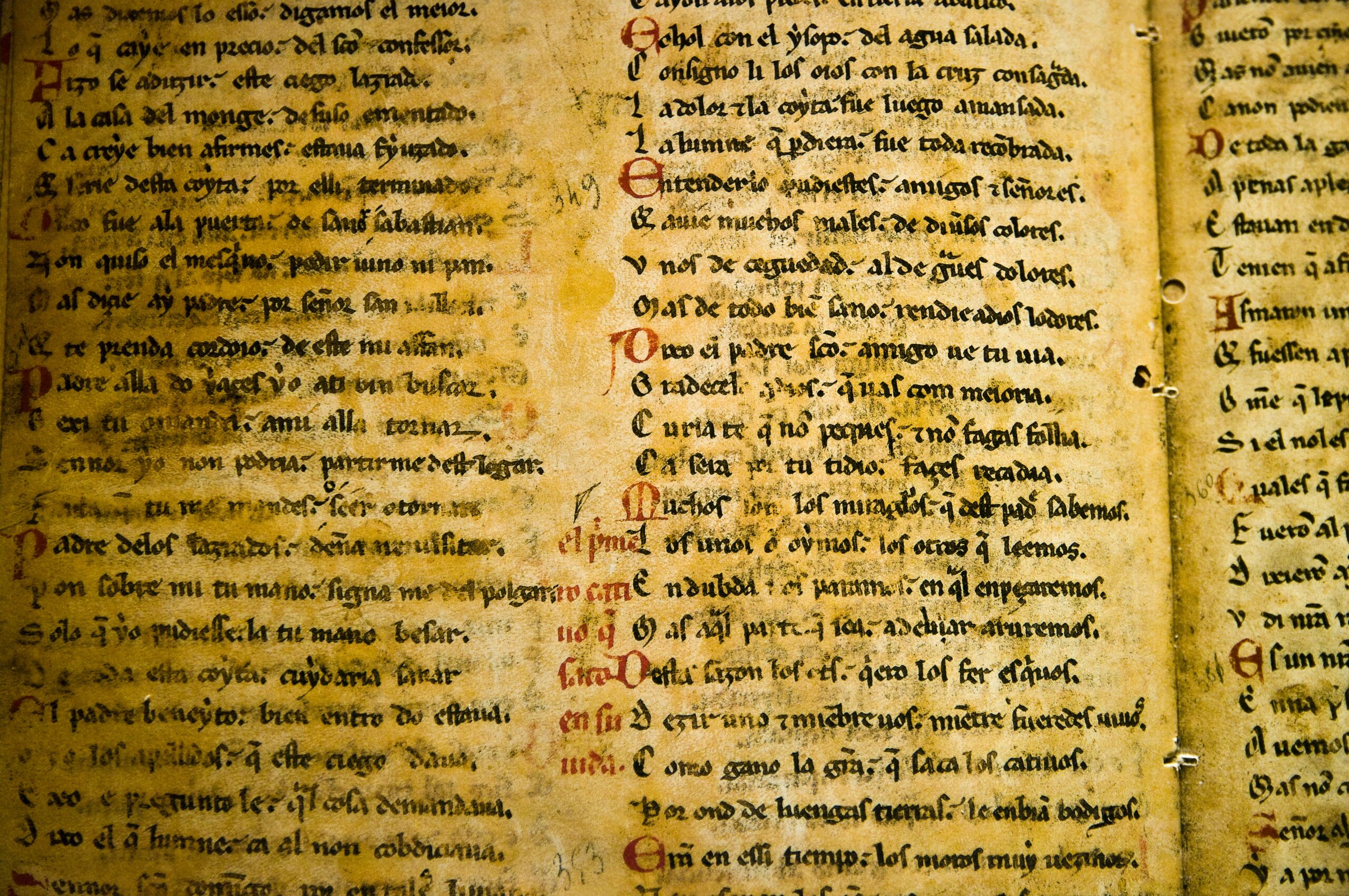 Language for the ToK essay and exhibition