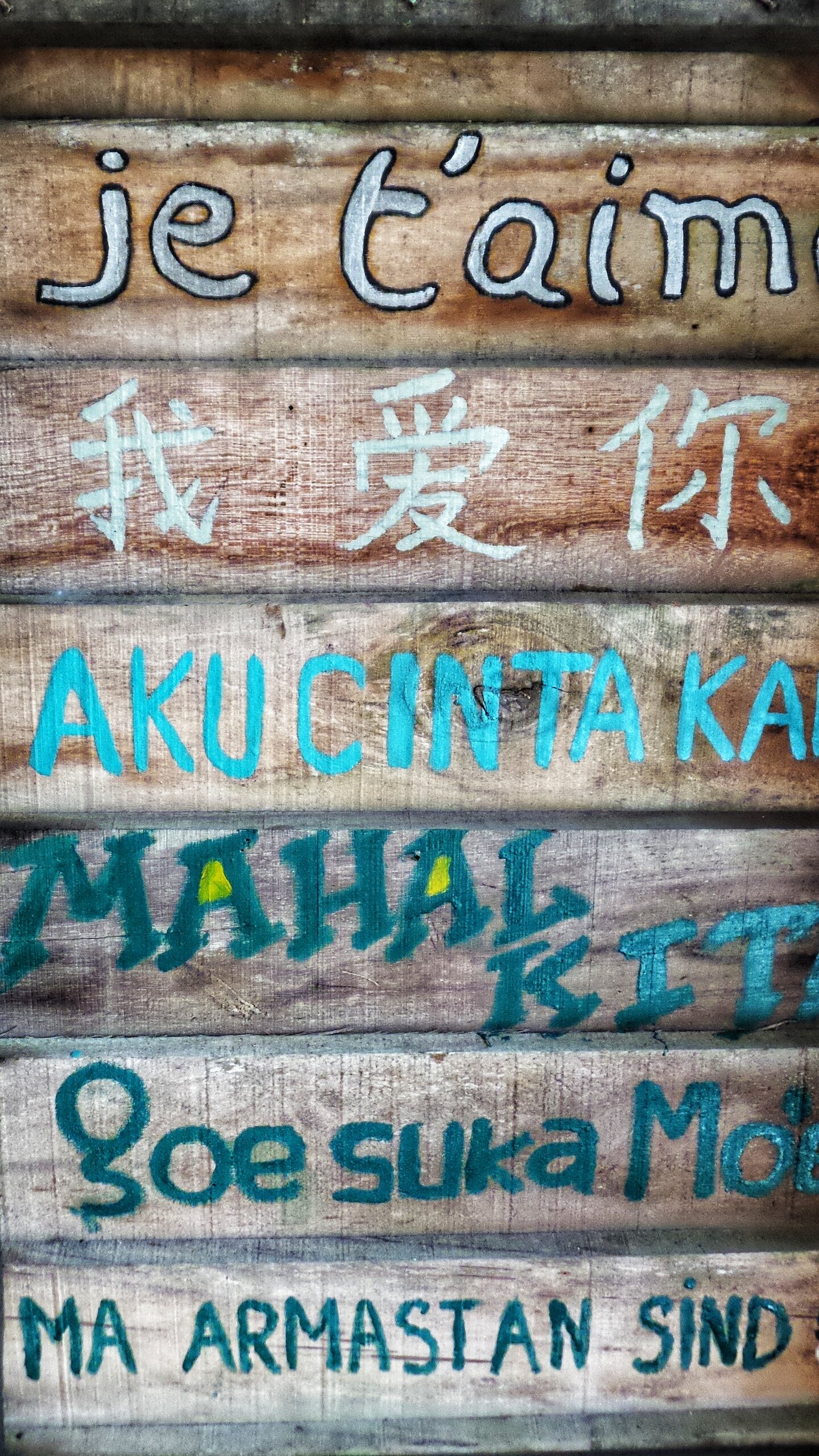 Knowledge and Language: Perspectives 2