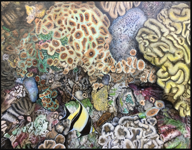 Interdisciplinary Extended Essay (2027)