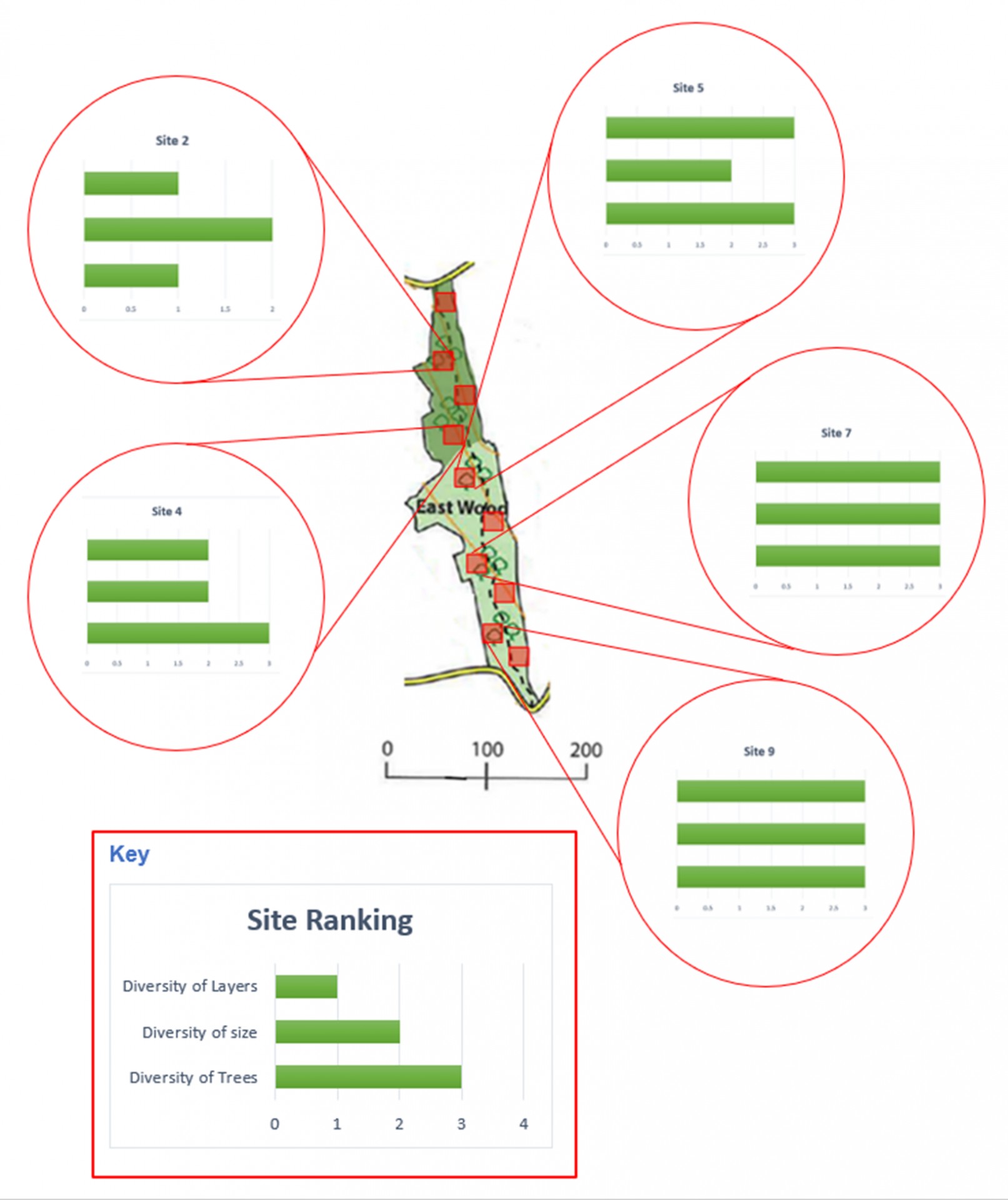 Data Presentation and Analysis