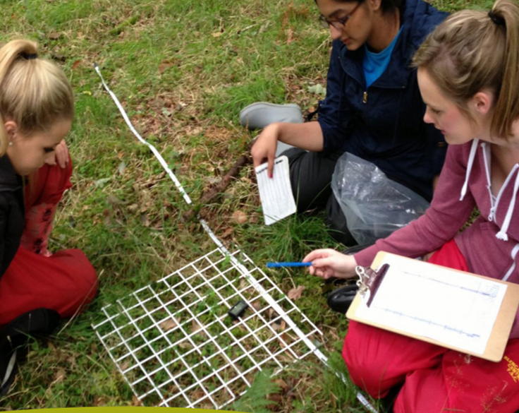 Objectives and Data Collection