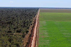4.The Globalisation of Food Supplies 