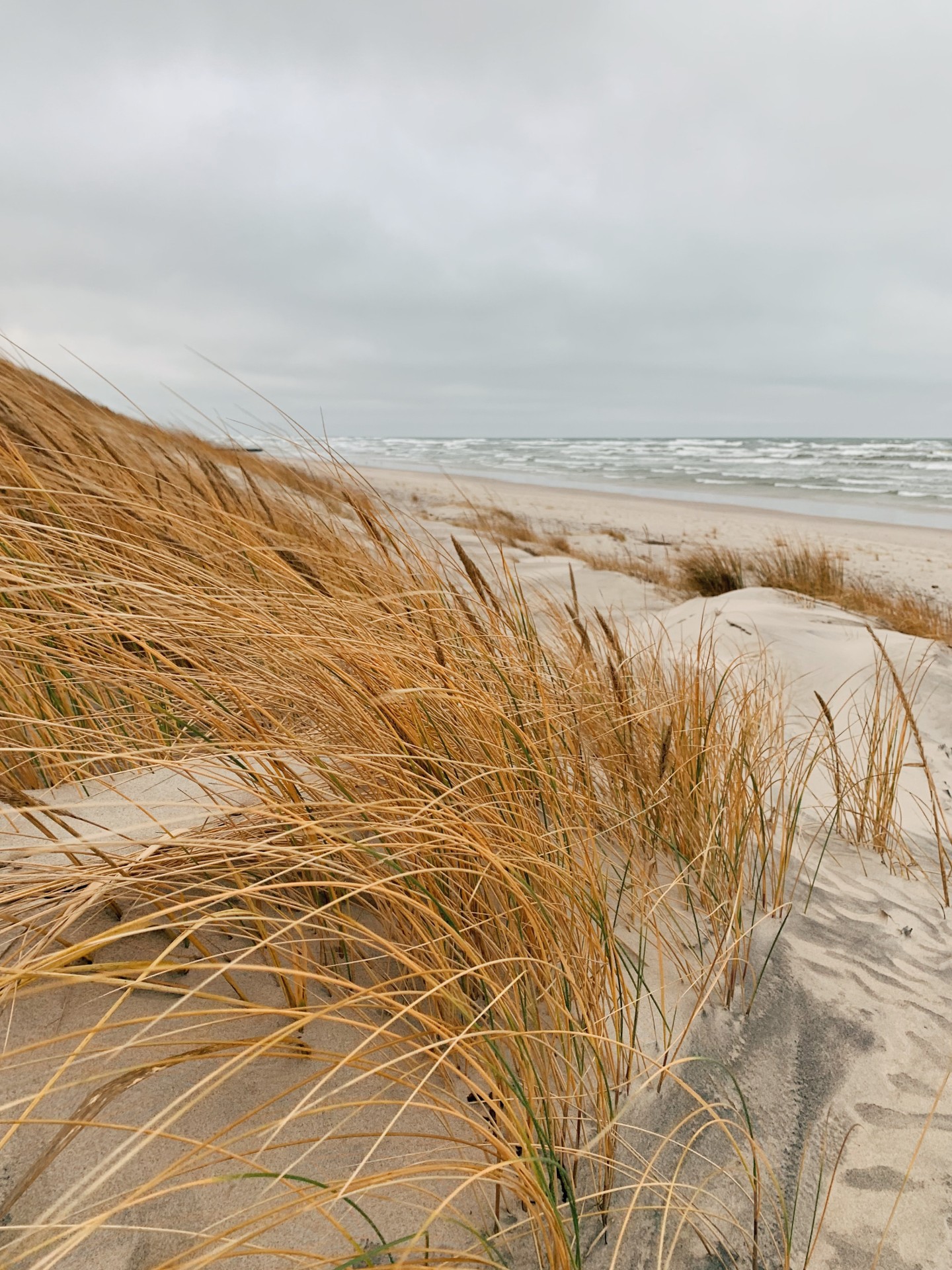 5. Beach Dunes 