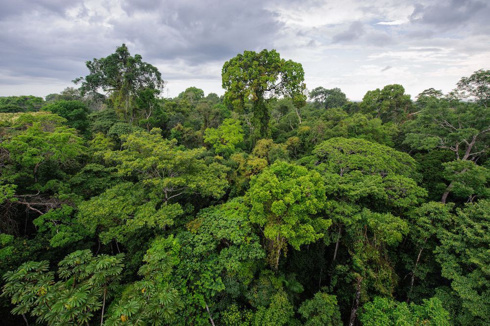 3 Changing Ecosystems 